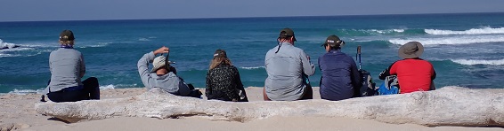 beach hike